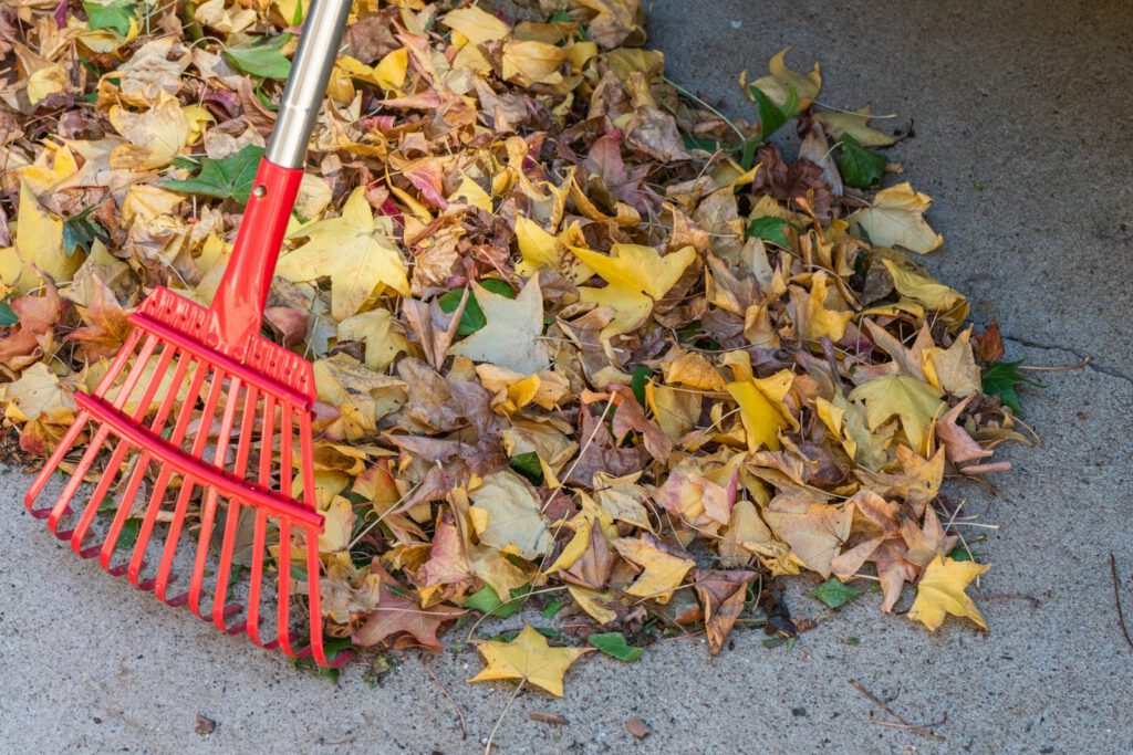 Een hark op een hoop herfstbladeren, klaar voor hergebruik in de tuin