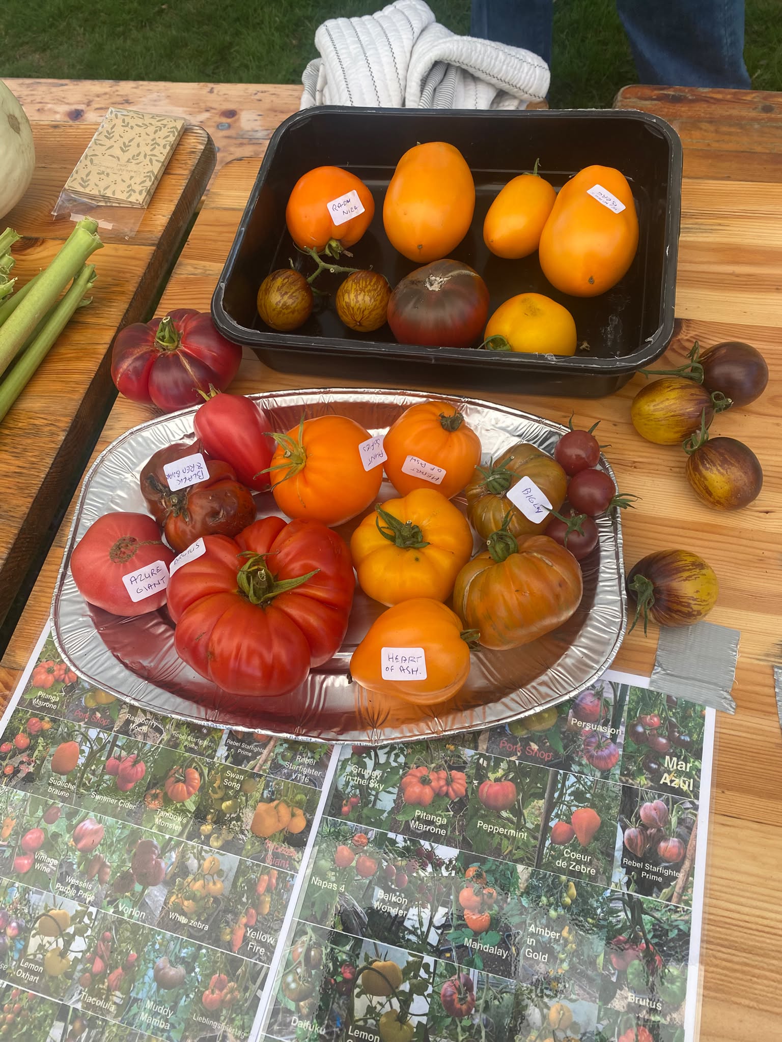 Kleurrijke tomaten uit de tuin op de Oogstmarkt 2026